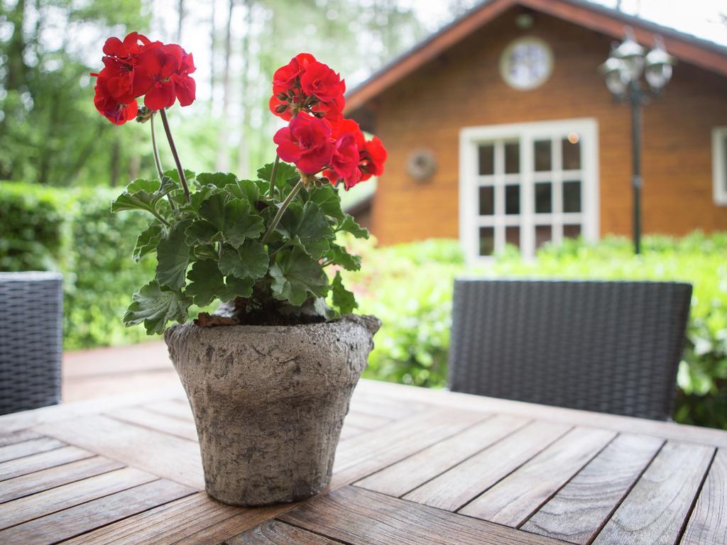 Luxurious Chalet In Oud Turnhout With Large Garden Villa Oud-Turnhout Eksteriør bilde